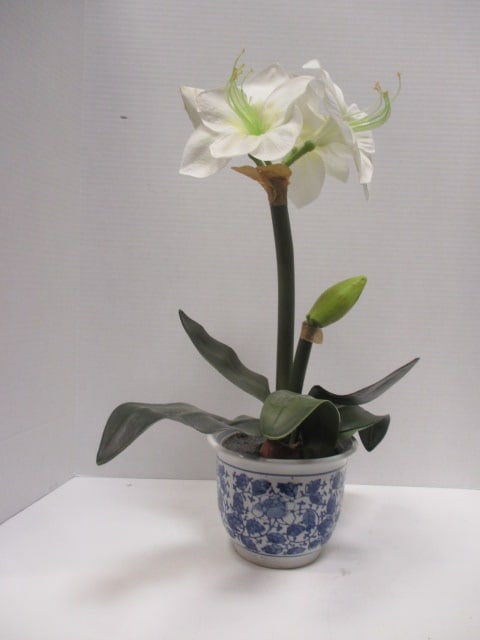 Faux White Amaryllis in Blue/White Planter