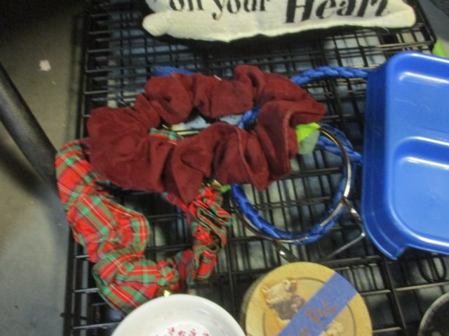 Small Metal Dog Crate & Dog Accessories - 4
