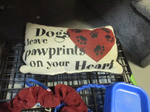 Small Metal Dog Crate & Dog Accessories - 5