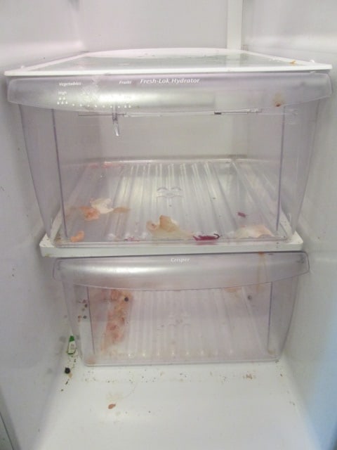 Frigidaire White Side x Side Refrigerator with Ice/Water in Door - 8