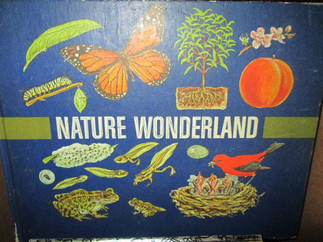 Grouping of Children's Books-First Adventures in Learning, Little Golden Books, Disney, etc. - 4