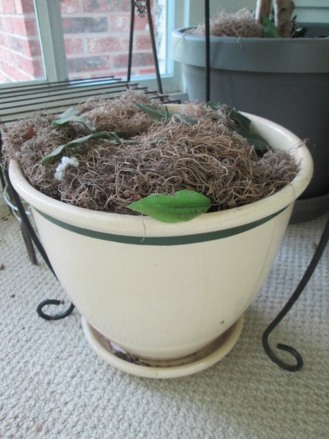 Artificial Ficus Tree, Two Metal Plant Stands, Pot Dollies and Planters - 3