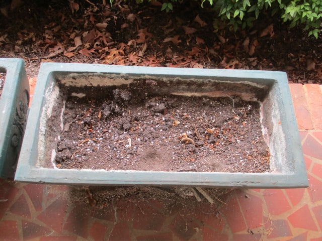 Pair of Painted Green Concrete Planters - 12