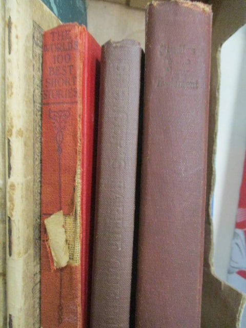 Books-Riverside Literature Series 1893 & 1898, 100 Best Short Stories 1910, - 2