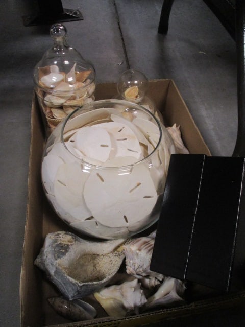 Seashells & Sanddollars Grouping: see all pictures