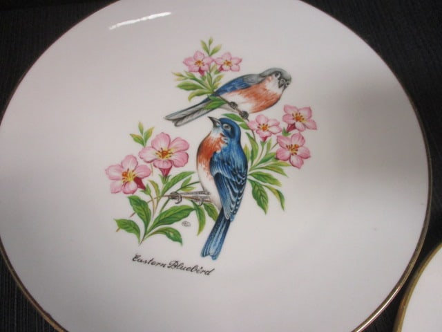 Bereuther Germany (Lot of 6) Bird Plates - 3
