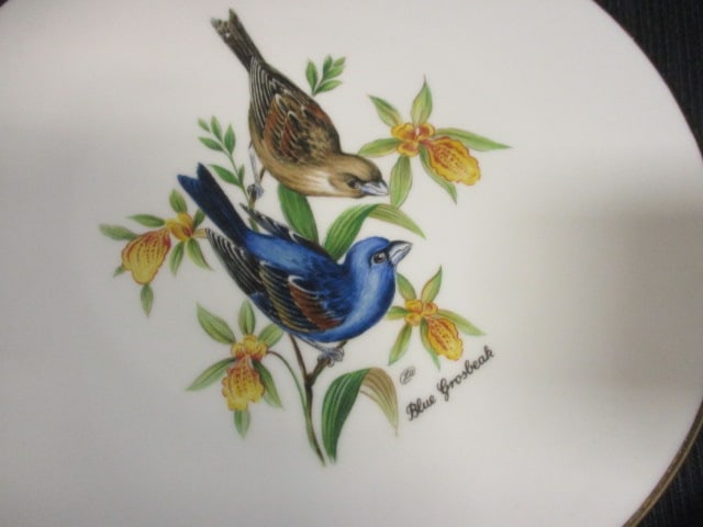 Bereuther Germany (Lot of 6) Bird Plates - 5