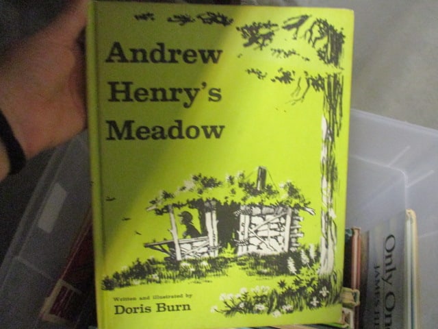 Children's Books Grouping - 4