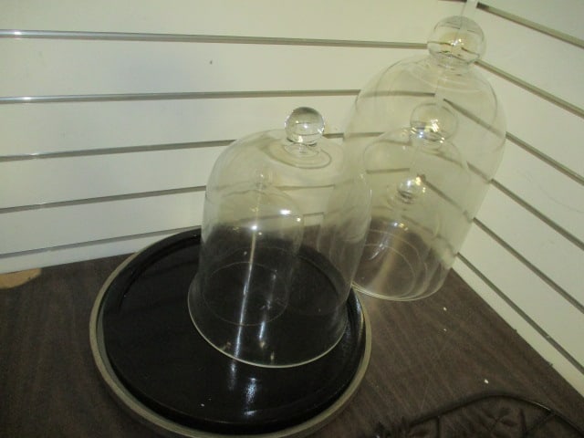 5 Glass Cloches & 2 Round Wood Stands: see all pictures