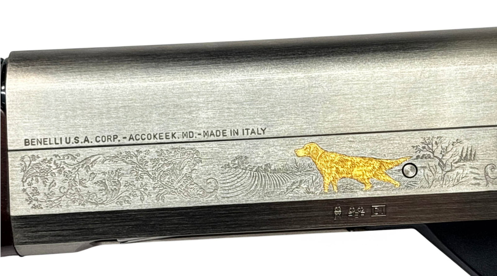 LNIB 2012 Benelli Montefeltro Silver 2 Featherweight Series 20 GA. Semi-Automatic 26” Shotgun - 12