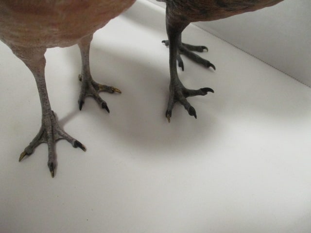 Vintage Franz Bergmann Austrian Cold-Painted Bronze Cock and Hen Pheasant Figures - 5