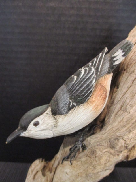 Harp signed Hand Carved and Painted Nuthatch Wildlife Carving on Natural Driftwood - 2