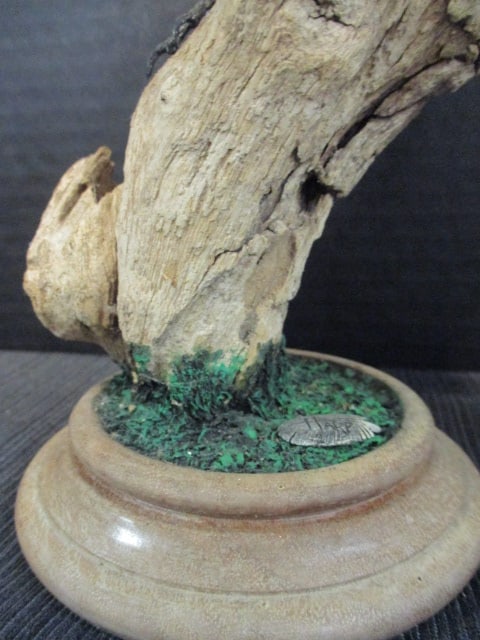 Harp signed Hand Carved and Painted Nuthatch Wildlife Carving on Natural Driftwood - 3
