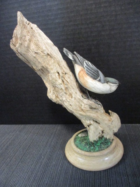 Harp signed Hand Carved and Painted Nuthatch Wildlife Carving on Natural Driftwood - 4
