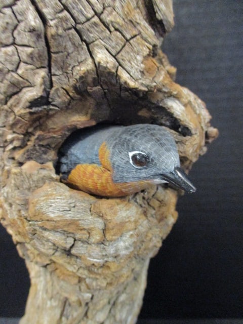 Harp signed Hand Carved and Painted Bluebird Wildlife Carving on Natural Driftwood - 2