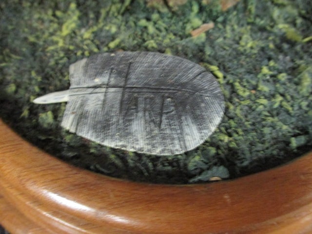 Harp signed Hand Carved and Painted Bluebird Wildlife Carving on Natural Driftwood - 5
