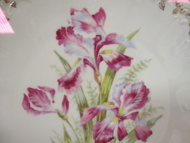 Antique Handpainted Bearded Iris German Porcelain Serving Tray Mounted Under Glass - 3