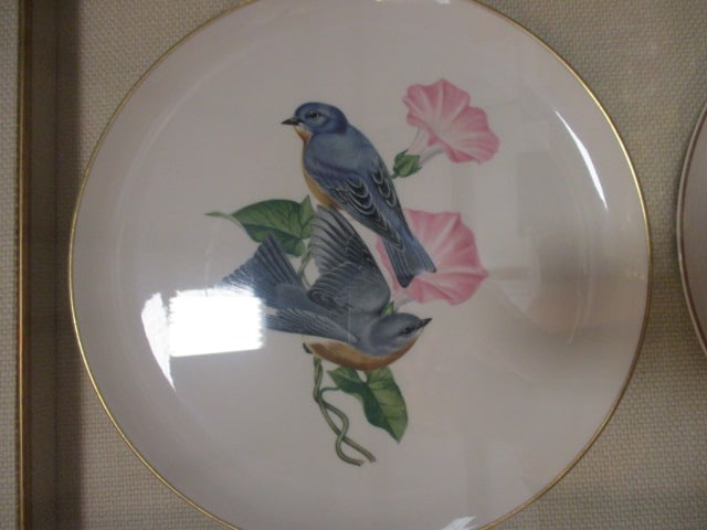 Two Syracuse China "American Song Birds" Series Chargers Mounted Under Glass - 2