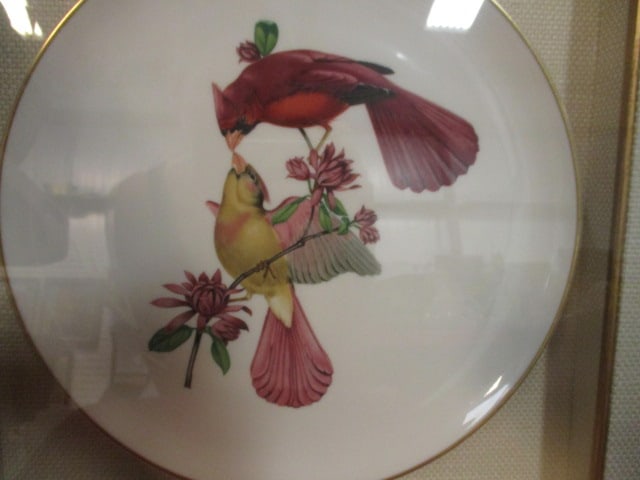 Syracuse China "American Song Birds" Series Chargers Mounted Under Glass in Shadow Box Frames - 3