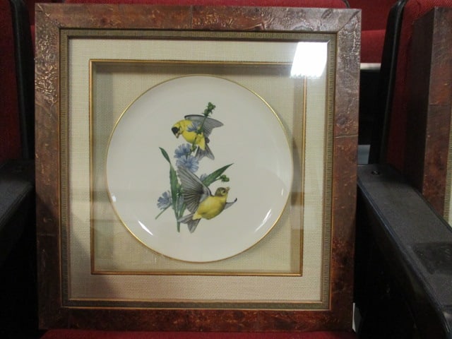 Syracuse China "American Song Birds" Series Chargers Mounted Under Glass in Shadow Box Frames - 4