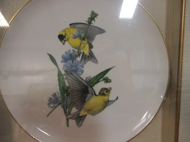 Syracuse China "American Song Birds" Series Chargers Mounted Under Glass in Shadow Box Frames - 5