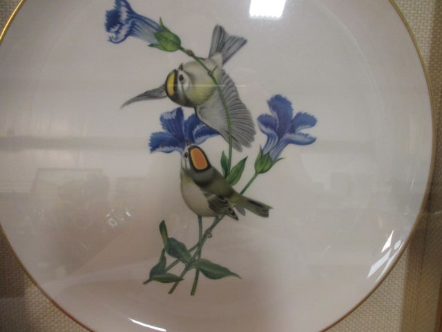 Syracuse China "American Song Birds" Series Chargers Mounted Under Glass in Shadow Box Frames - 7