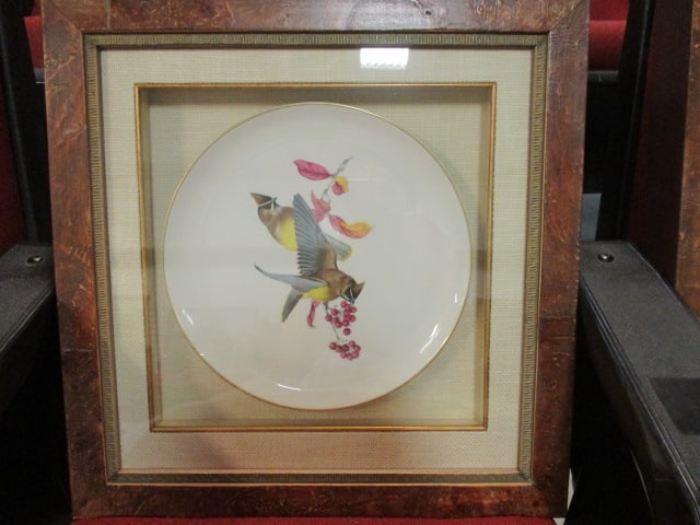 Syracuse China "American Song Birds" Series Chargers Mounted Under Glass in Shadow Box Frames - 8