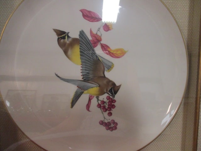 Syracuse China "American Song Birds" Series Chargers Mounted Under Glass in Shadow Box Frames - 9