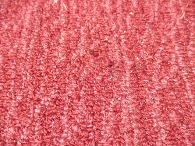 Lacey-Champion Carpets Hand Tufted Needlepoint Style 100% Wool Room Size Carpet/Rug - 10
