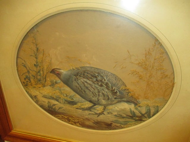 Set of Framed Quail Dimensional Cut Lithographs with Applied Natural Botanical Elements - 5