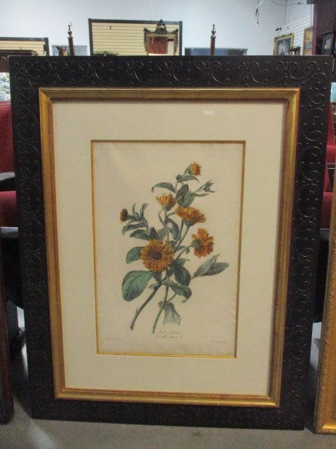 Vintage Botanical "Calendula Officinalis" Lithograph Originally by Gerard van Spaendonck: Framed and matted 27 3/4" x 35 1/4", Local Pickup Only