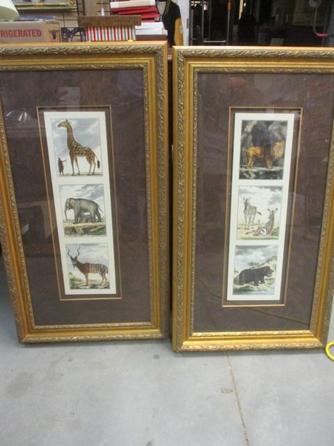 Safari Animals F/M Prints (PR): 20 1/2 x 36 1/2