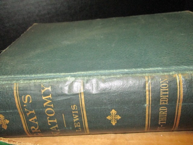 Books-The Principles and Practice of Medicine 1900, Gray's - 5