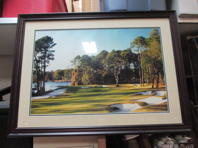 Framed and Matted Golf Course Fairway Landscape (1 of 3)