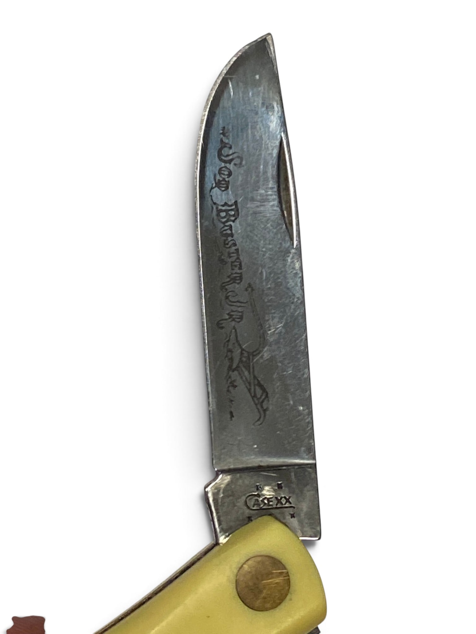 Case XX 3137 SS Pocket Knife - 5