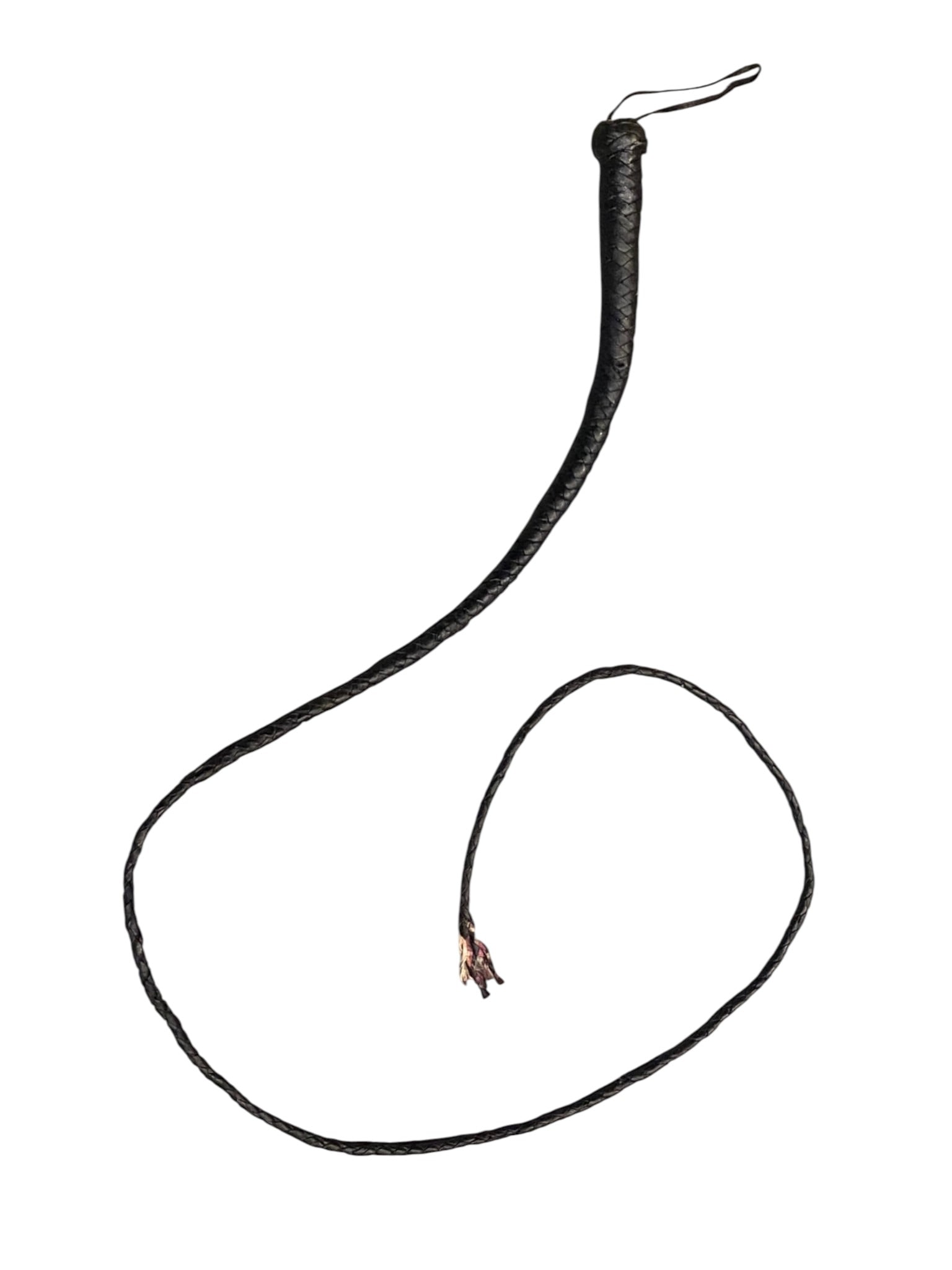 73" Bull Whip: Approx. 73" Long