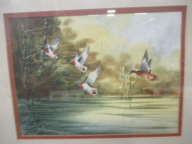 2 Framed and Matted Watercolor Wildlife Art Signed by Erica Hoyt - 7