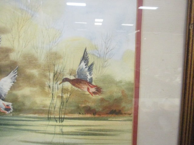 2 Framed and Matted Watercolor Wildlife Art Signed by Erica Hoyt - 8
