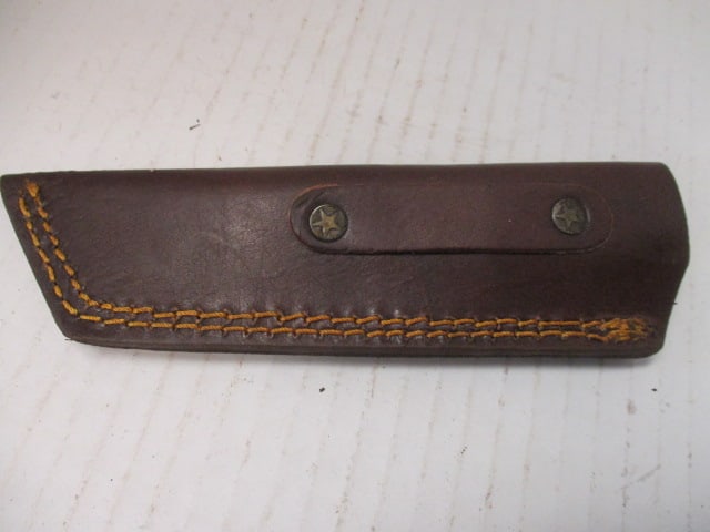 Damascus Steel Fixed Blade with Colored Wood Handle - 7
