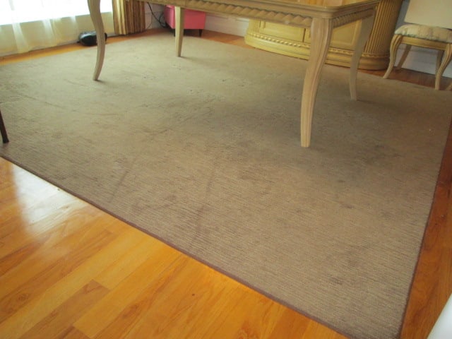 Beige Cut Low Pile/Loop Linear Pattern Bound Area Rug: 10' x 11', Pickup on Last Hour of Scheduled Pickup Time, Local Pickup Only