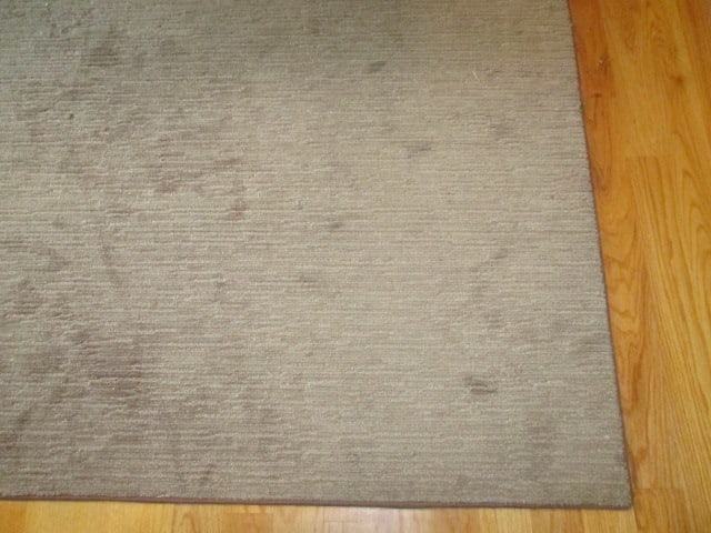 Beige Cut Low Pile/Loop Linear Pattern Bound Area Rug - 2