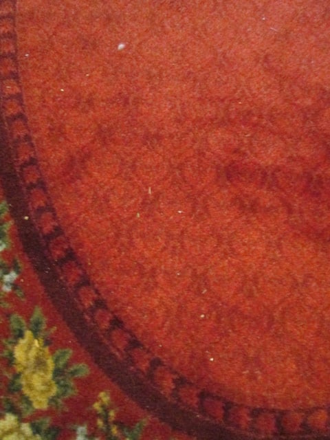 Invista Oval Burgundy Area Rug with Rose Cluster Border - 3