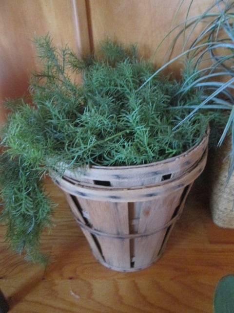Artificial Greenery in Woven, Metal and Ceramic Vessels - 7
