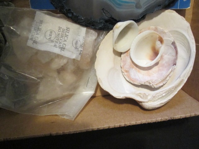 Collection of Rocks, Geode Slices, Sea Shells and Geology Guide Book - 4