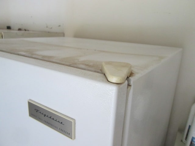 Frigidaire Frost Free Upright Commercial Freezer - 6