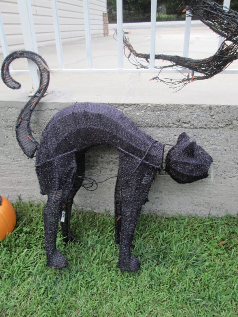 Nice Grouping of Halloween Yard Decorations - 4