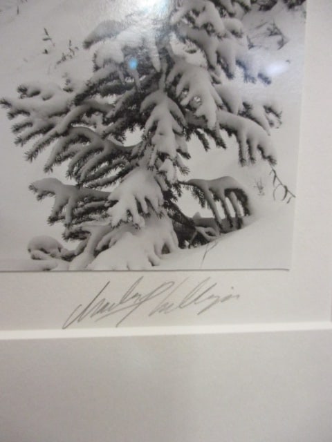 Framed and Matted "Waterfall" Photography Print - Signed and Numbered - 3