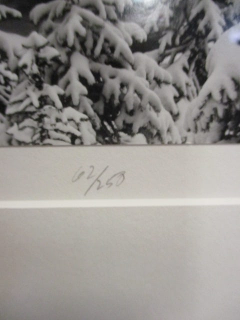 Framed and Matted "Waterfall" Photography Print - Signed and Numbered - 4