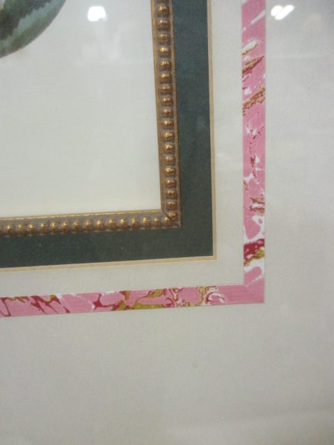 2 Gilded Gold Framed and Matted Flower Prints - 7