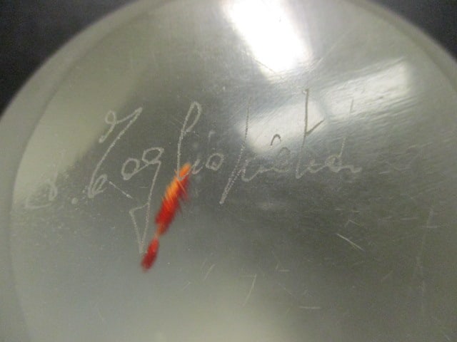 Signed Glass Art "Aquarium" Paperweight - 5